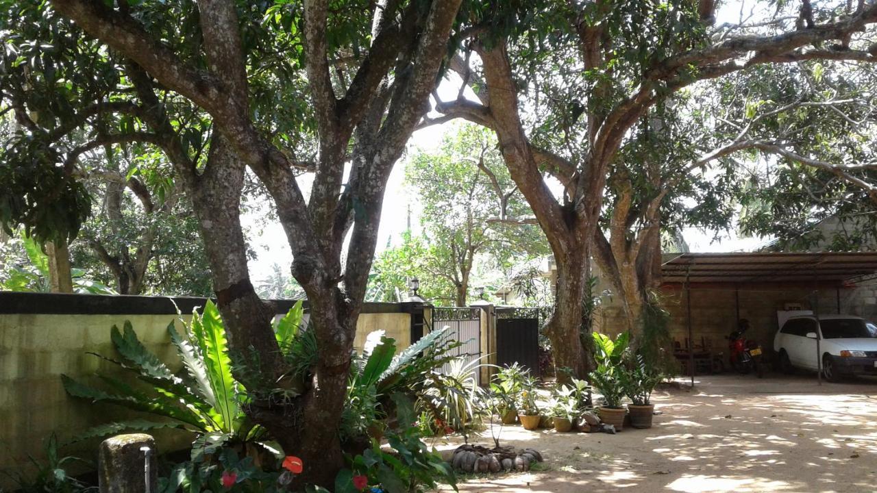 Water Front Home Stay And Resort Anuradhapura Εξωτερικό φωτογραφία